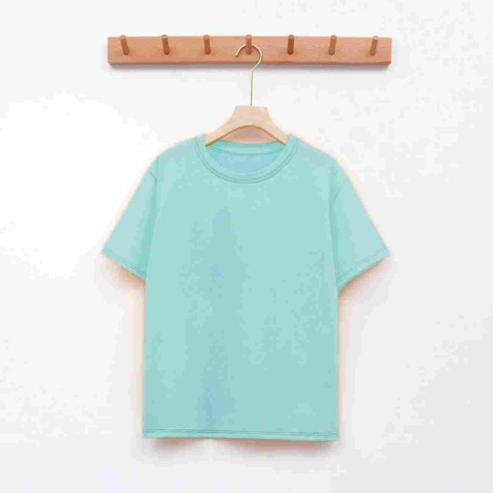 Regular Solid Plain T-shirt