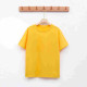 Regular Solid Plain T-shirt